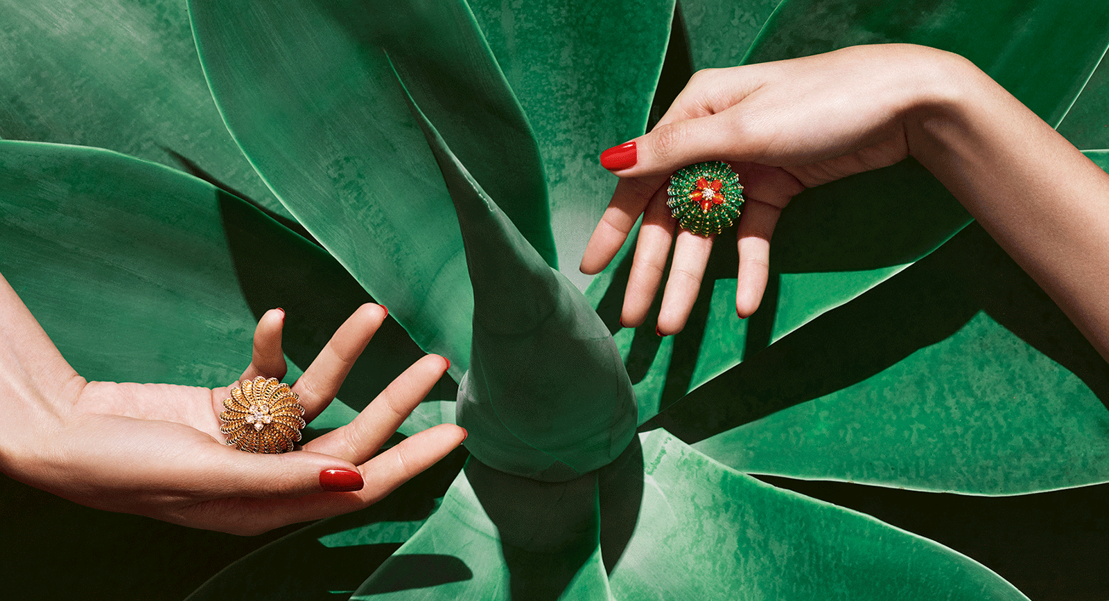 Cartier ring cactus sale