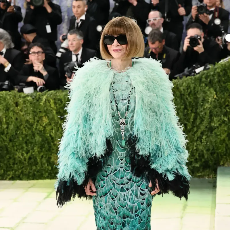 <p>Met Gala co-chair Anna Wintour wore a Van Cleef & Arpels Simone transformable high jewellery necklace nestled in her mint green Chanel feathered jacket</p>