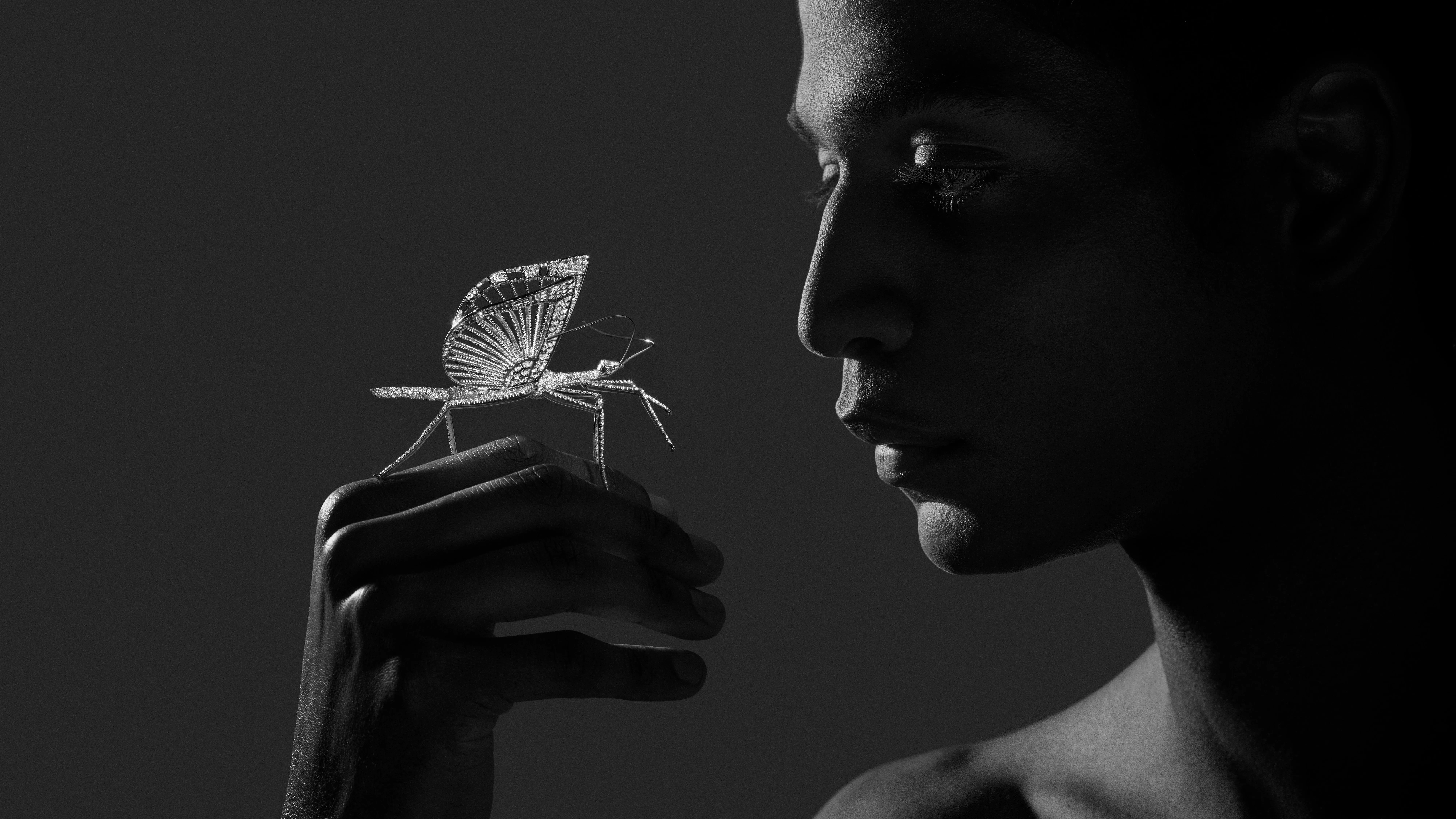 Stick Insect brooch from Composition No.2 of the Boucheron Impermanence High Jewellery collection, crafted in rhodium-plated white gold with grain-set diamonds and a pear-shaped diamond crowning the head 