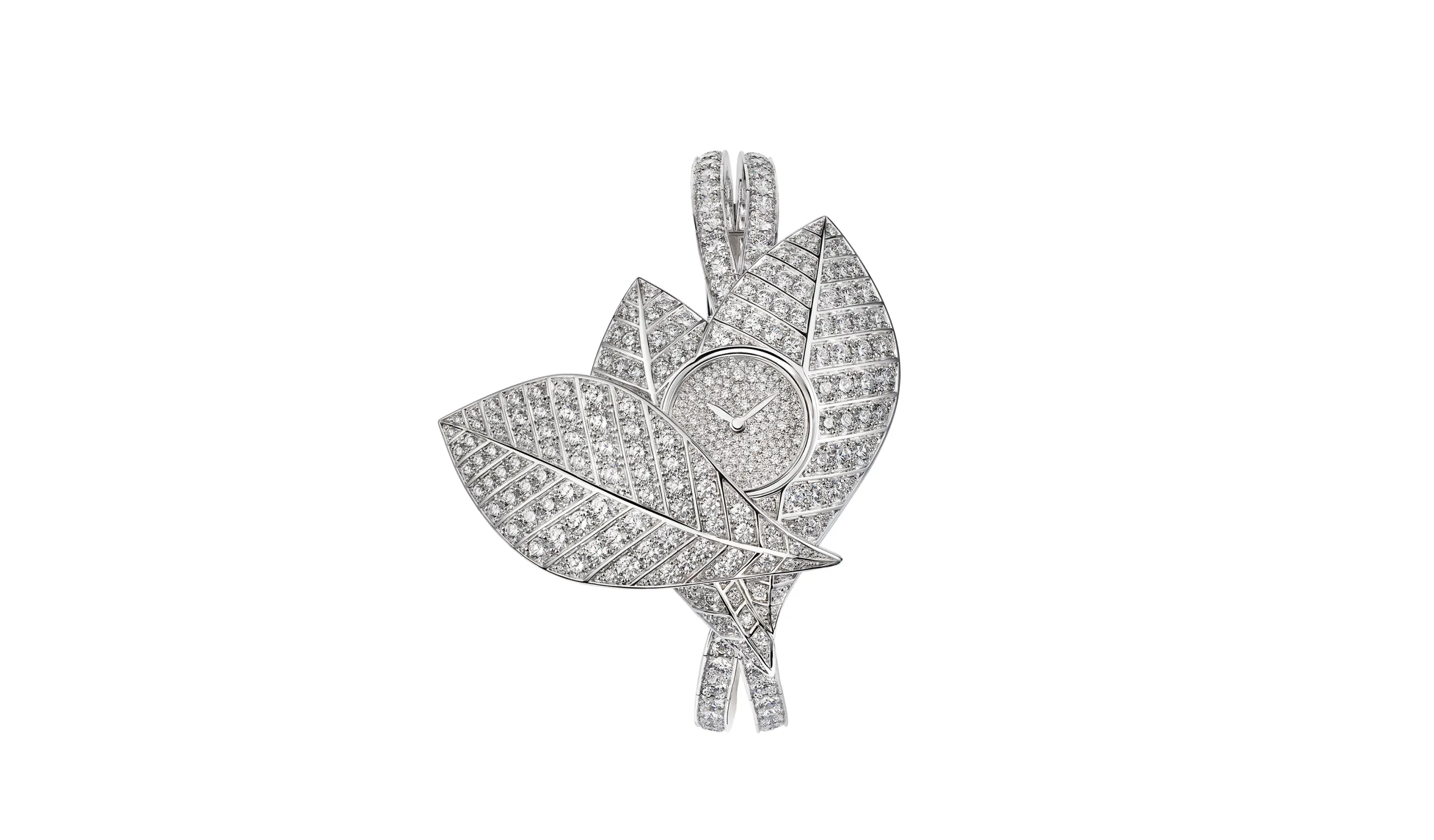 The Magnolia Grandiflora secret watch showcases a luscious flower, enhanced by snow set diamonds