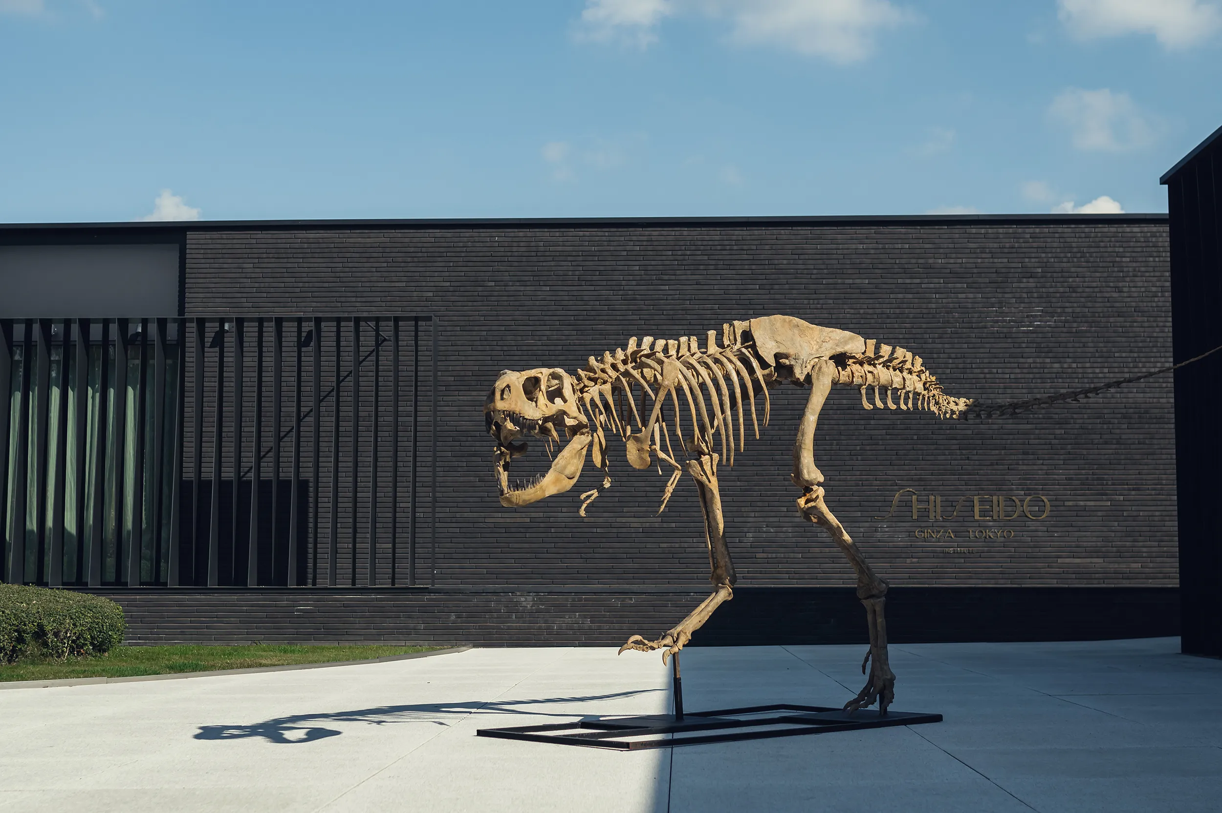 <p>A Tarbosaurus greets visitors taking a stroll through the grounds of La Butte aux Bois</p>