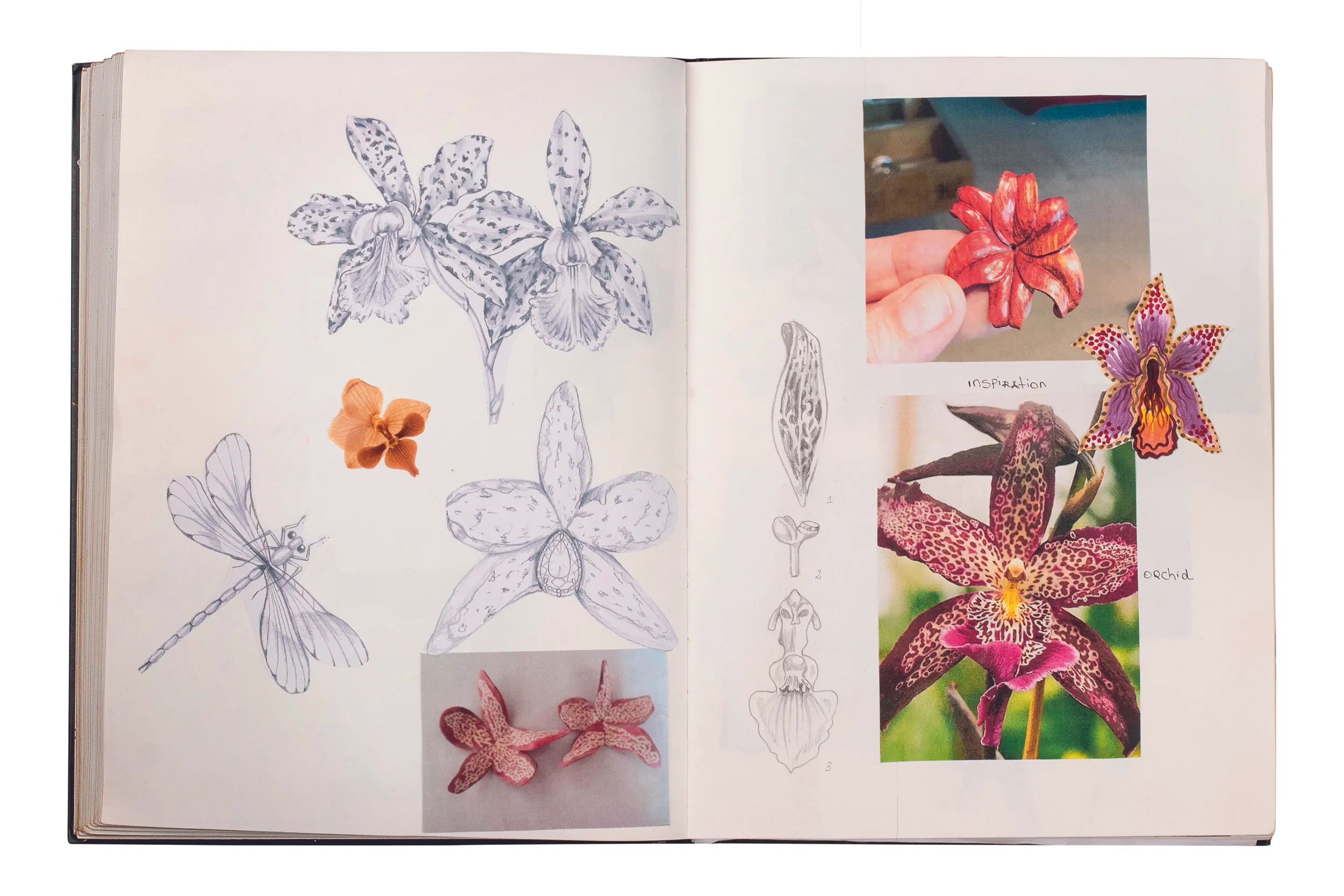 <p>A glimpse inside one of the notebooks Silvia Furmanovich carries on her travels</p>