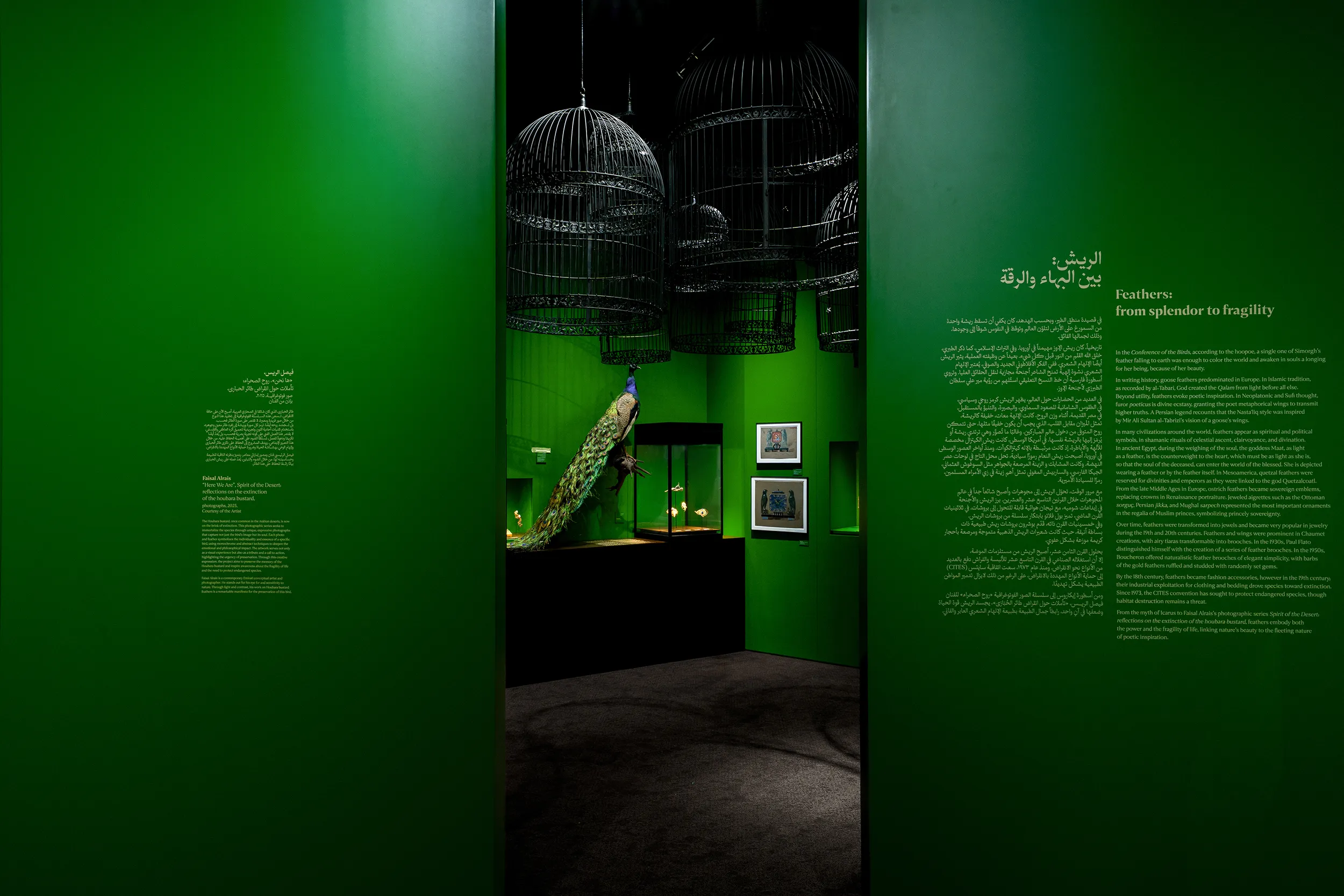 <p>A dedicated chapter of the exhibition reflects on feathers as emblems of spirituality and power in many civilisations around the world</p>