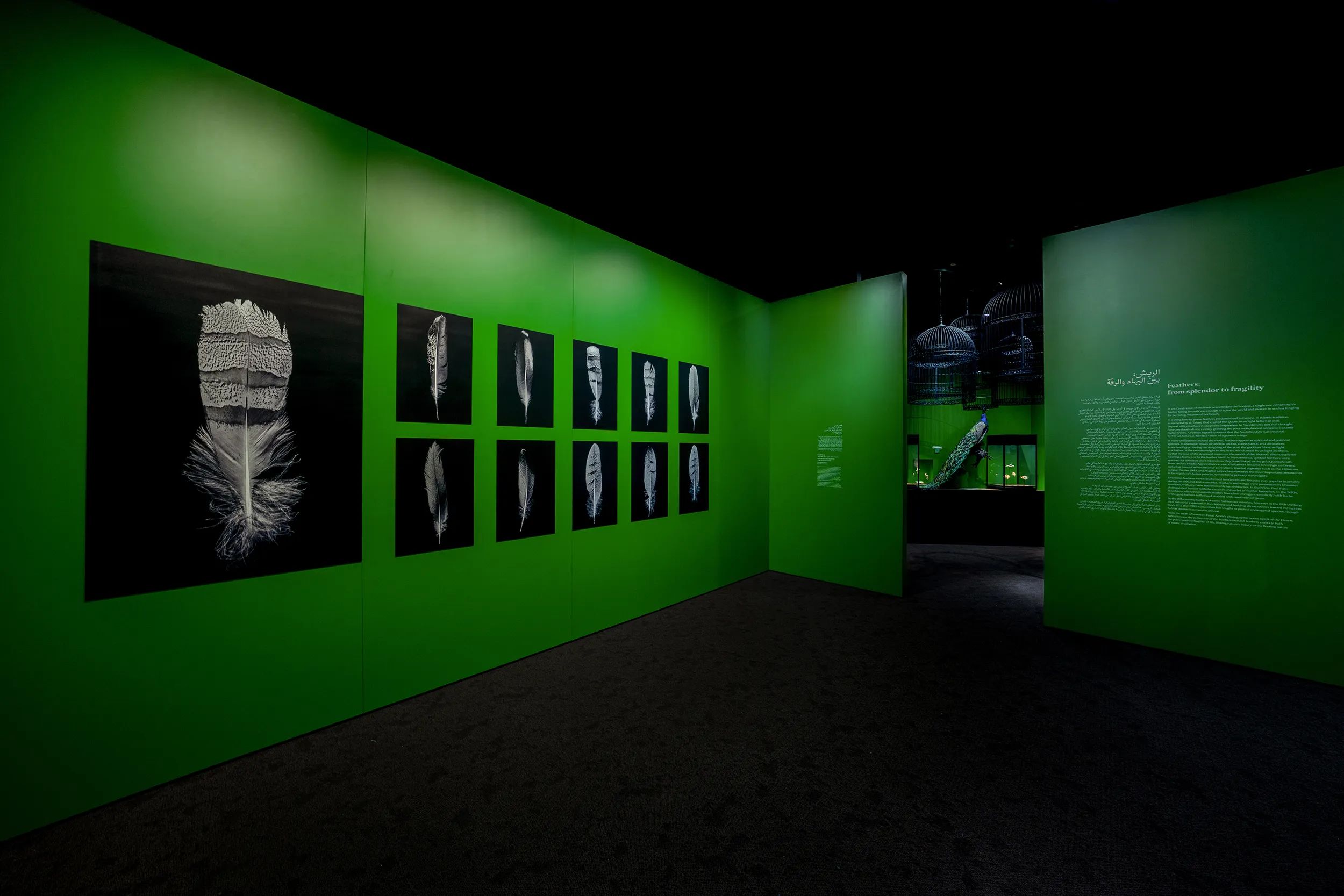 <p>Faisal Alrais’ photography allows visitors to appreciate the beauty and depth of meanings in birds’ representations in the Middle East and around the world</p>