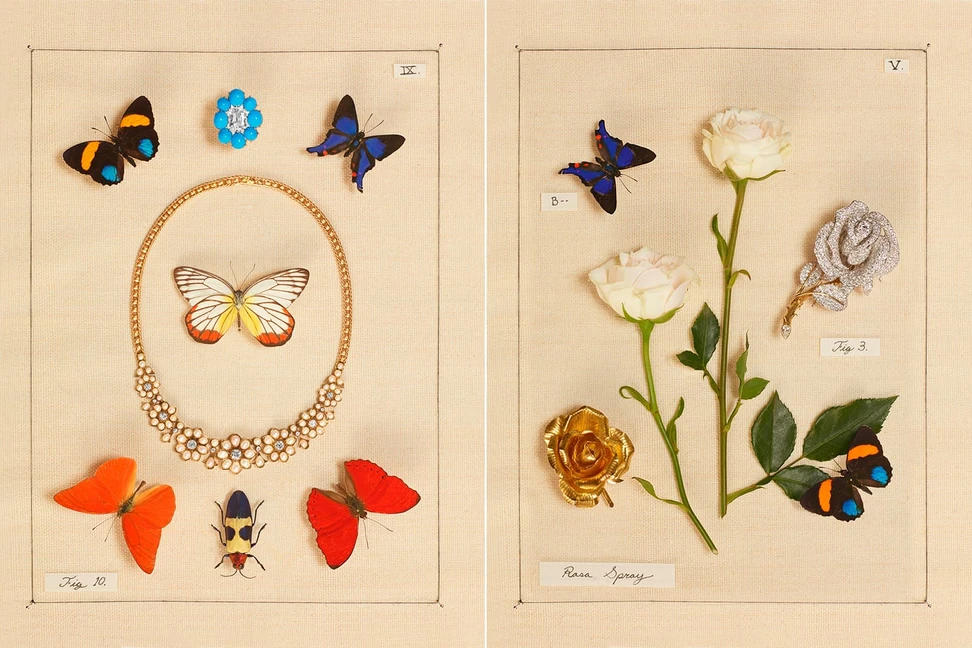 <p>A selection of fine jewellery from the Sotheby&#8217;s in Bloom collection</p>
