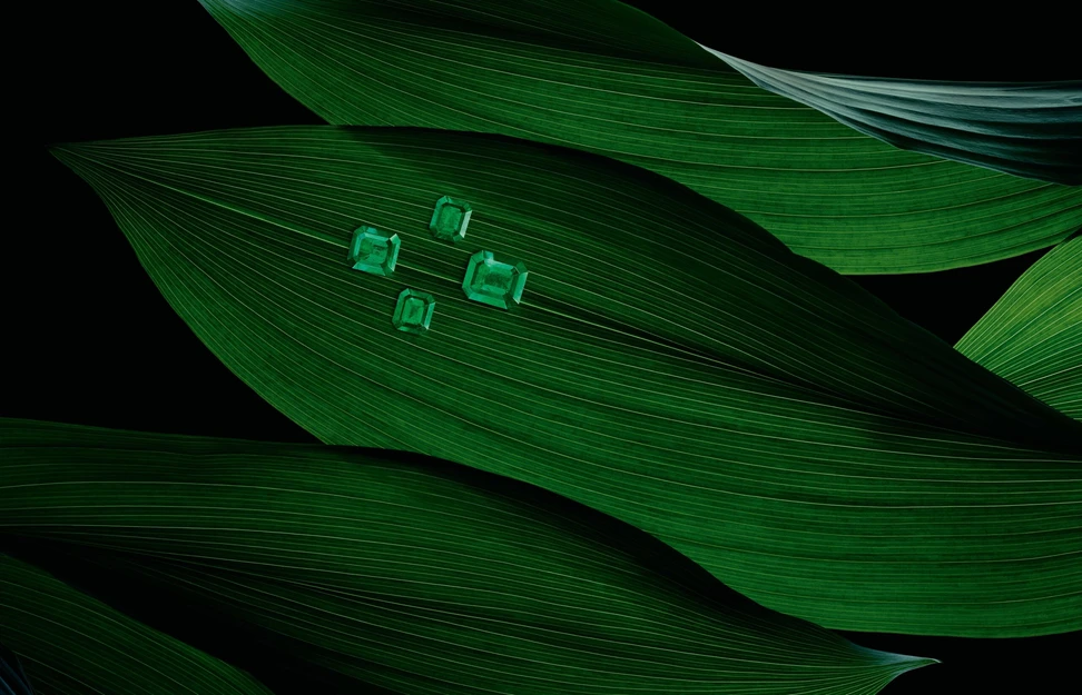 <p>An assortment of emerald-cut Muzo emeralds</p>
