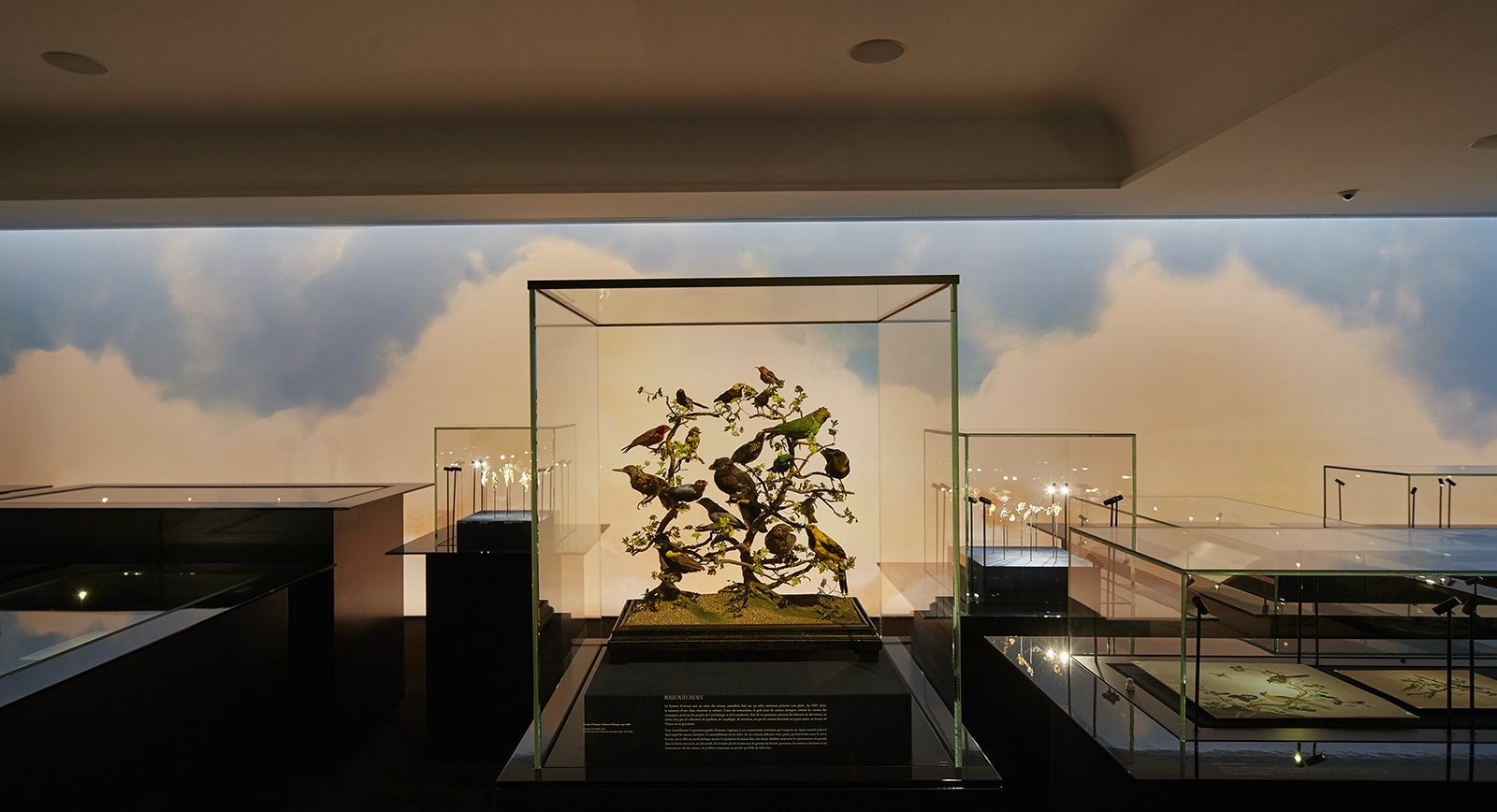 ‘Birds in Paradise' exhibition from L’ÉCOLE Van Cleef & Arpels 