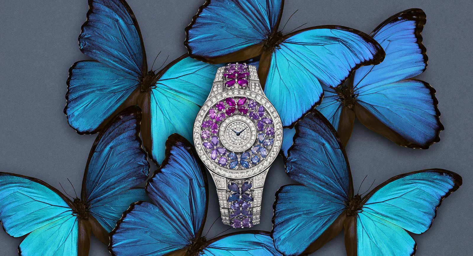 Graff butterfly watch