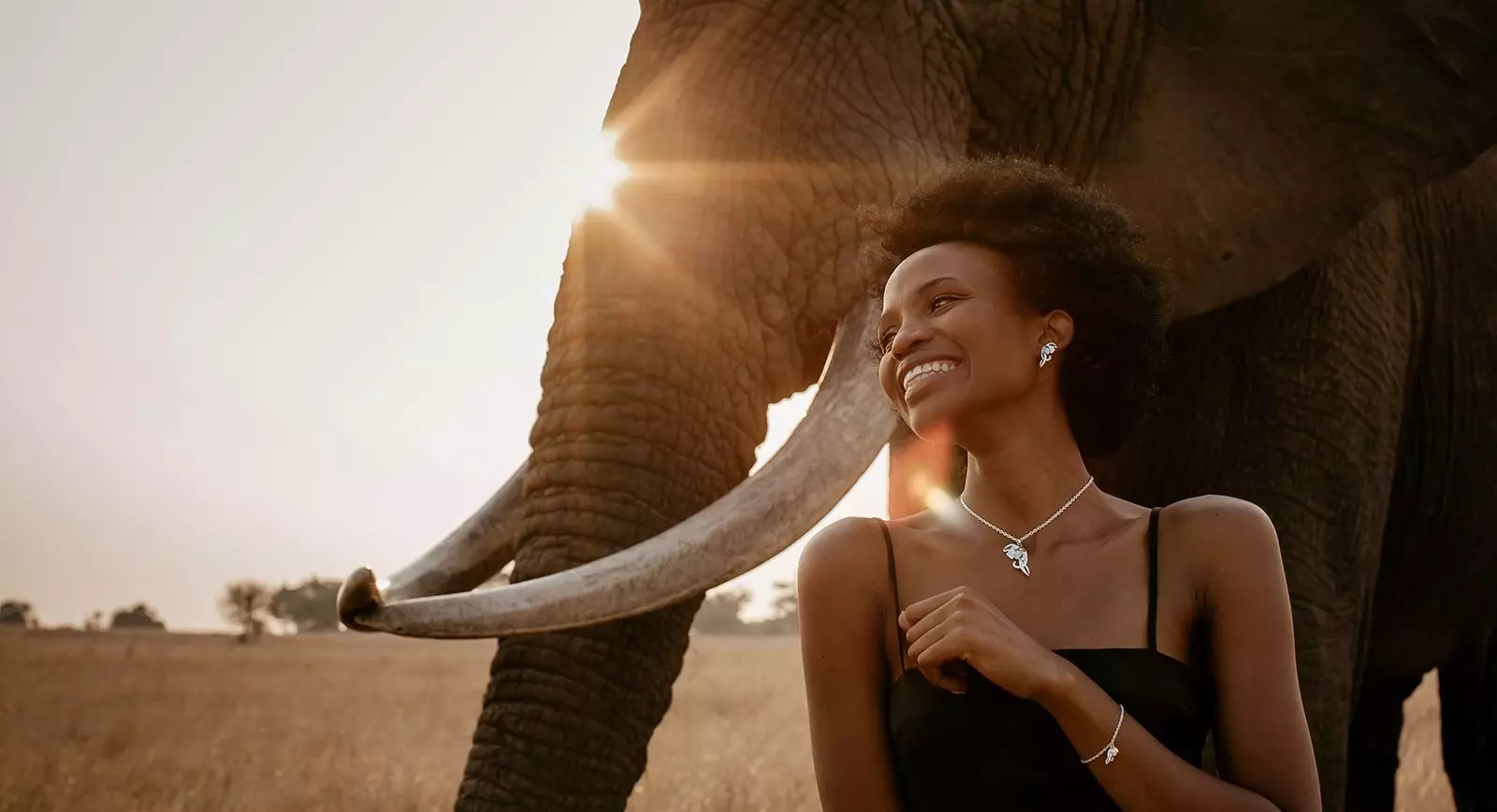 Elephants with jewels on sales