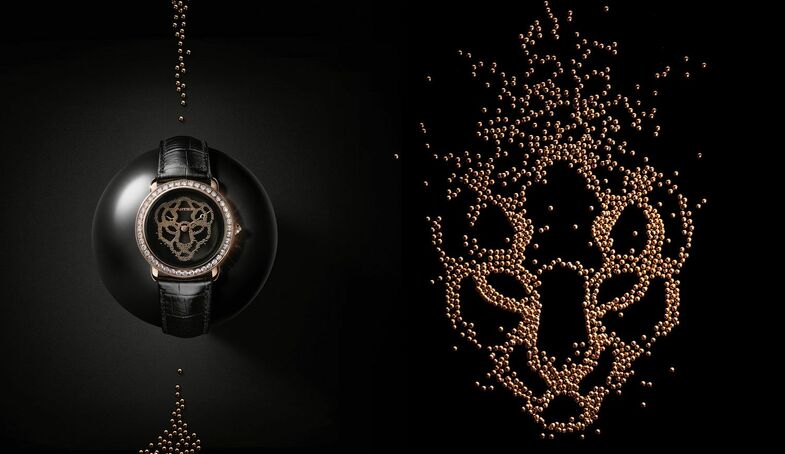 S2x1 sihh 2018 banner