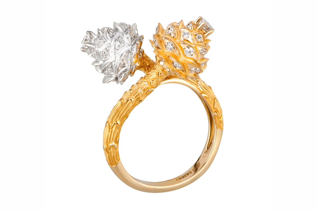  The Universo collection - Energy