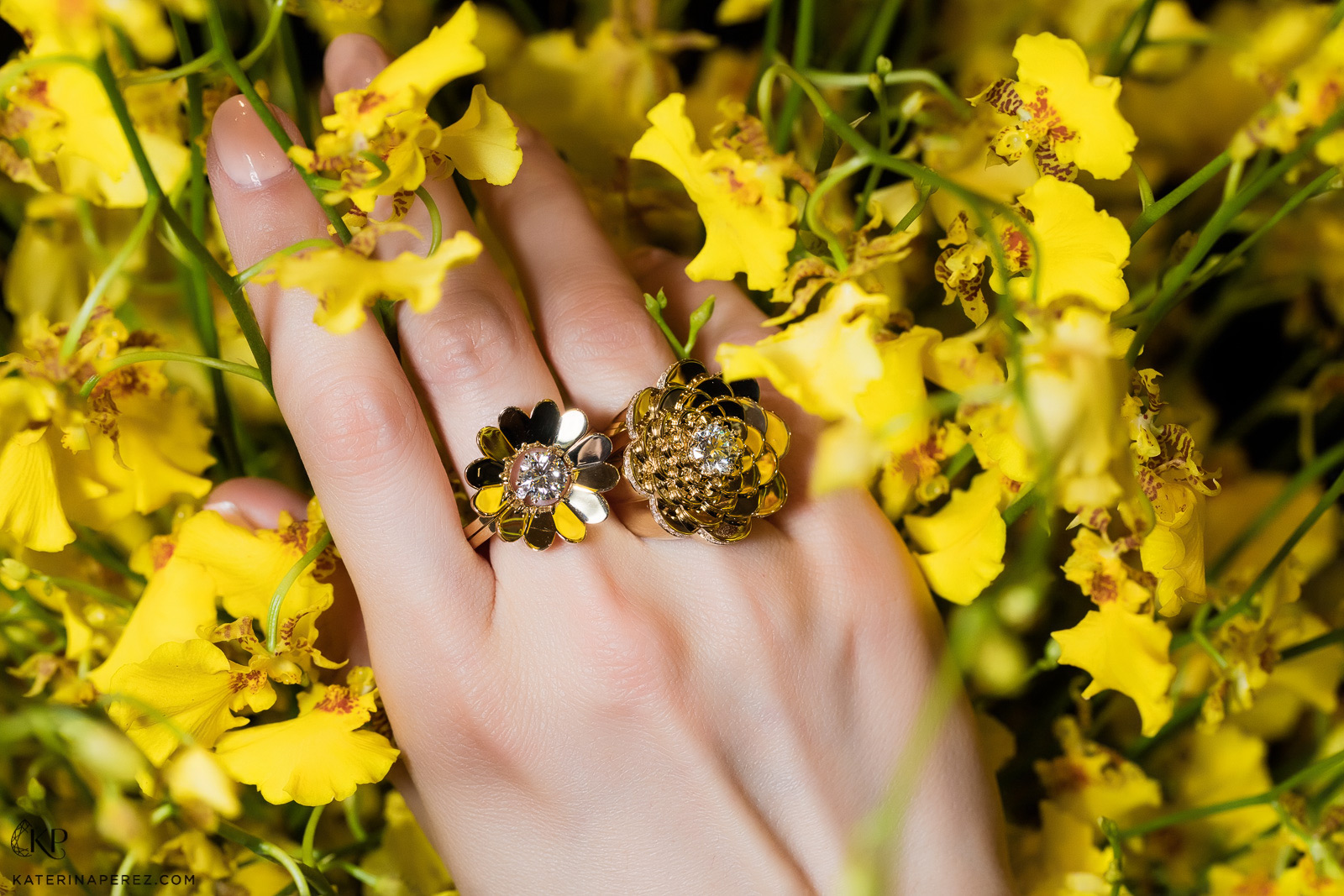 CADAR Bloom and Endless ring in yellow gold and diamonds. Photo by Simon Martner.