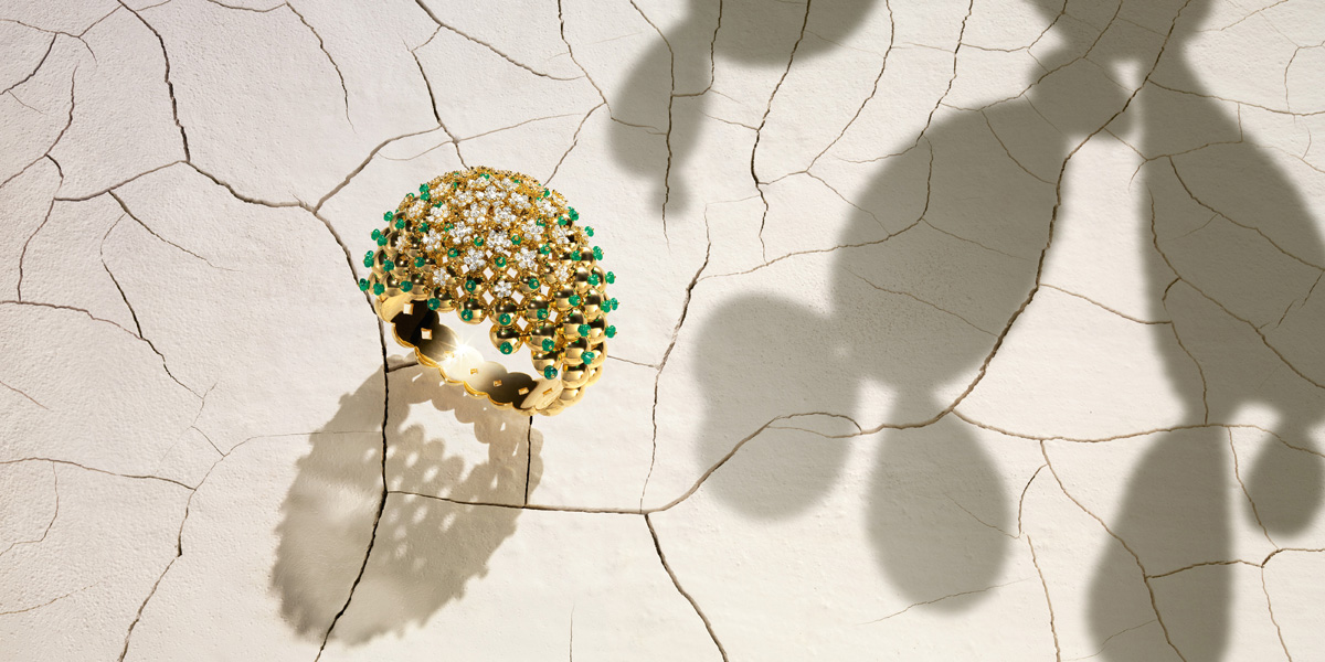 Cactus de Cartier