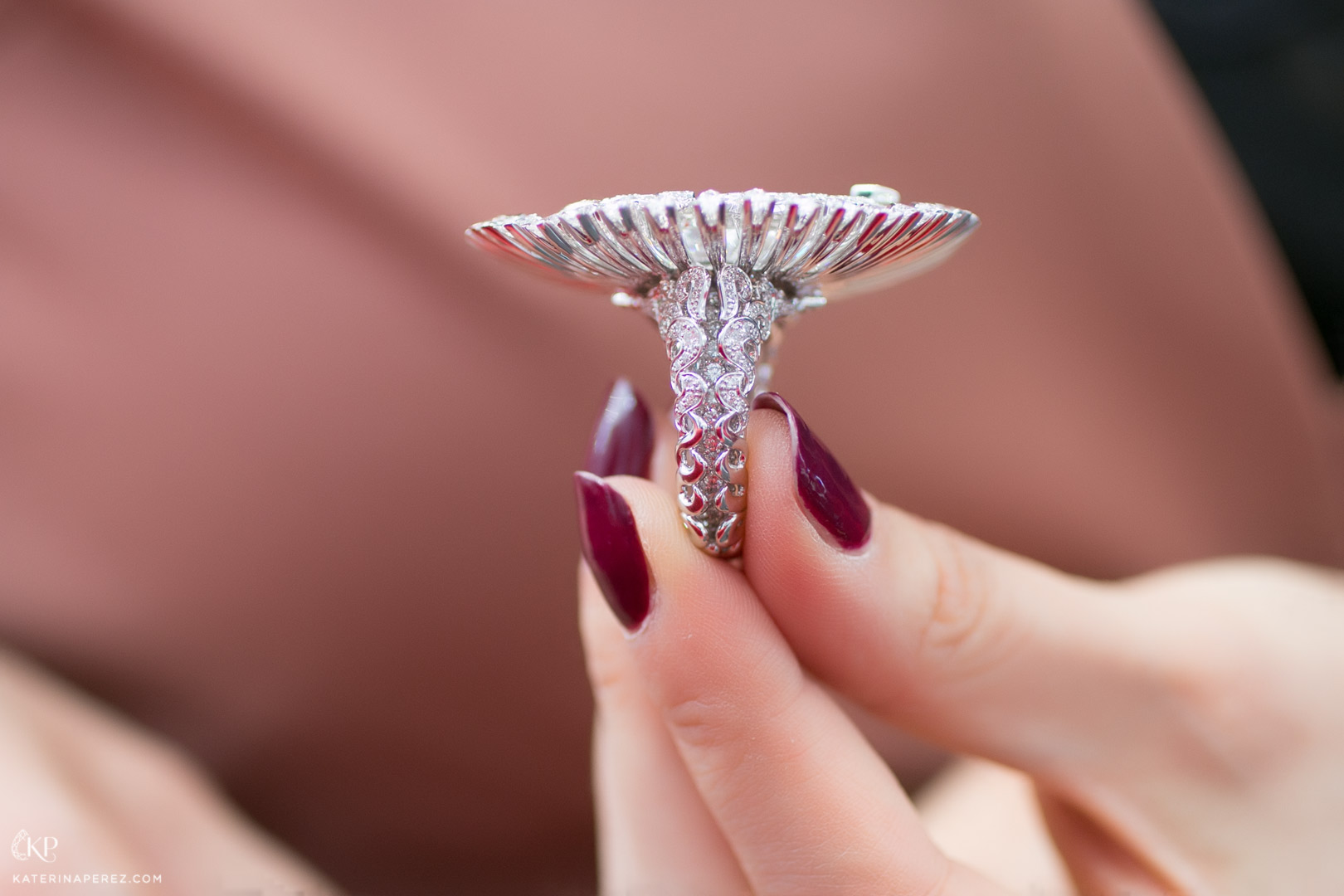  Chamovskikh transformable Sophia ring from the side