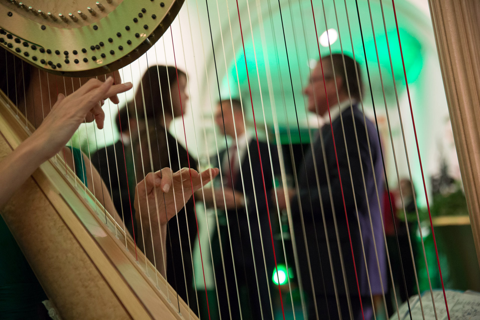  Harp player at the event