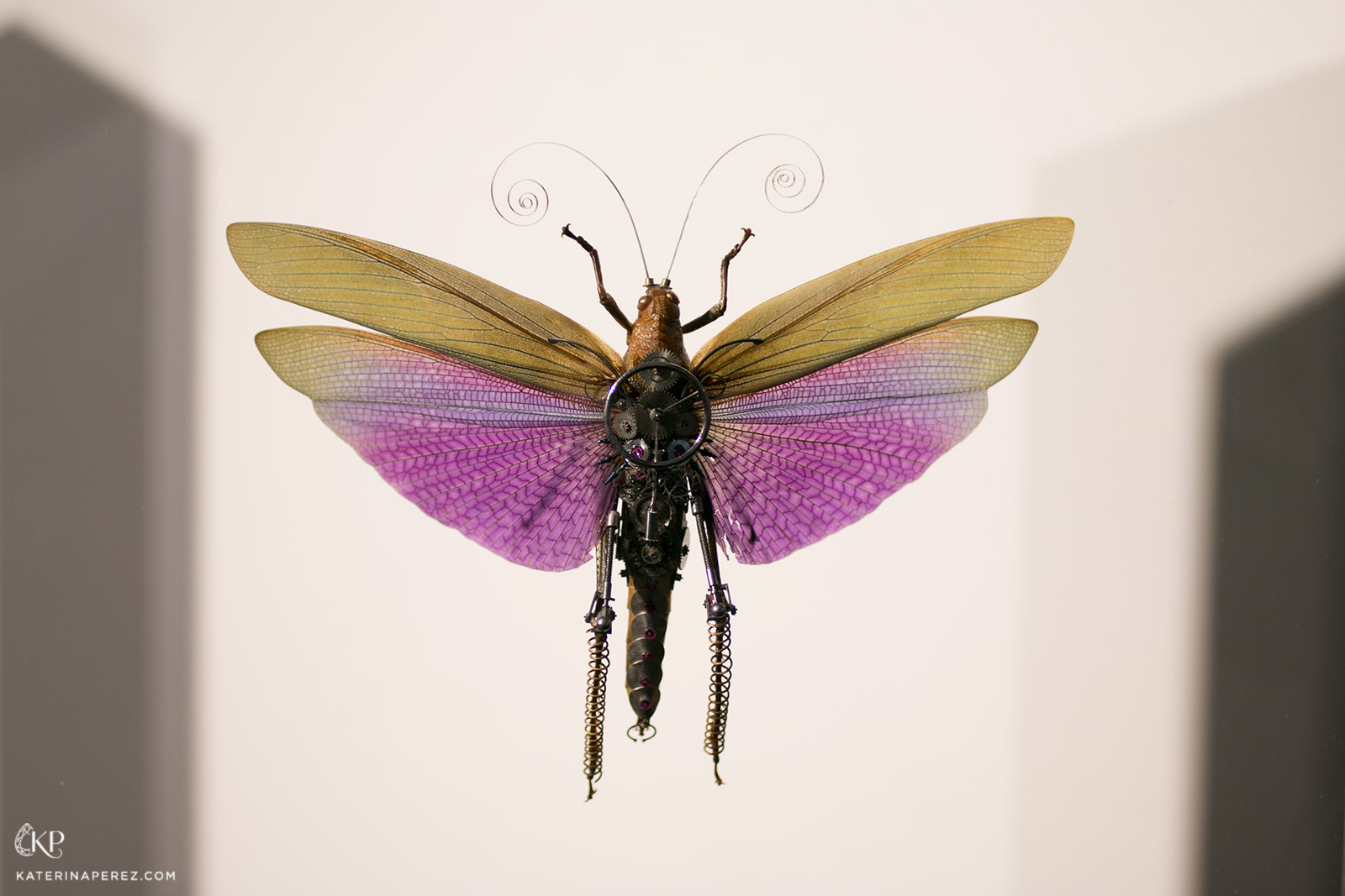  Gaby Wormann's horological insects in the MB&F M.A.D. gallery 