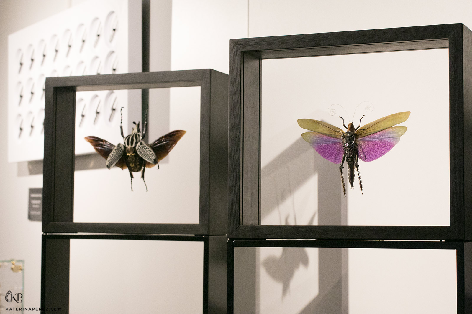 Gaby Wormann's horological insects in the MB&F M.A.D. gallery 