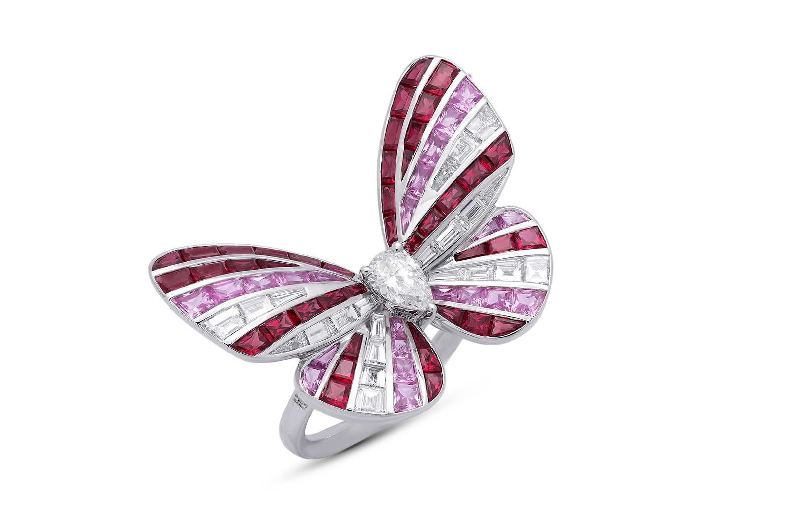 Butterfly Lovers: Stenzhorn's latest collection unveiled at 