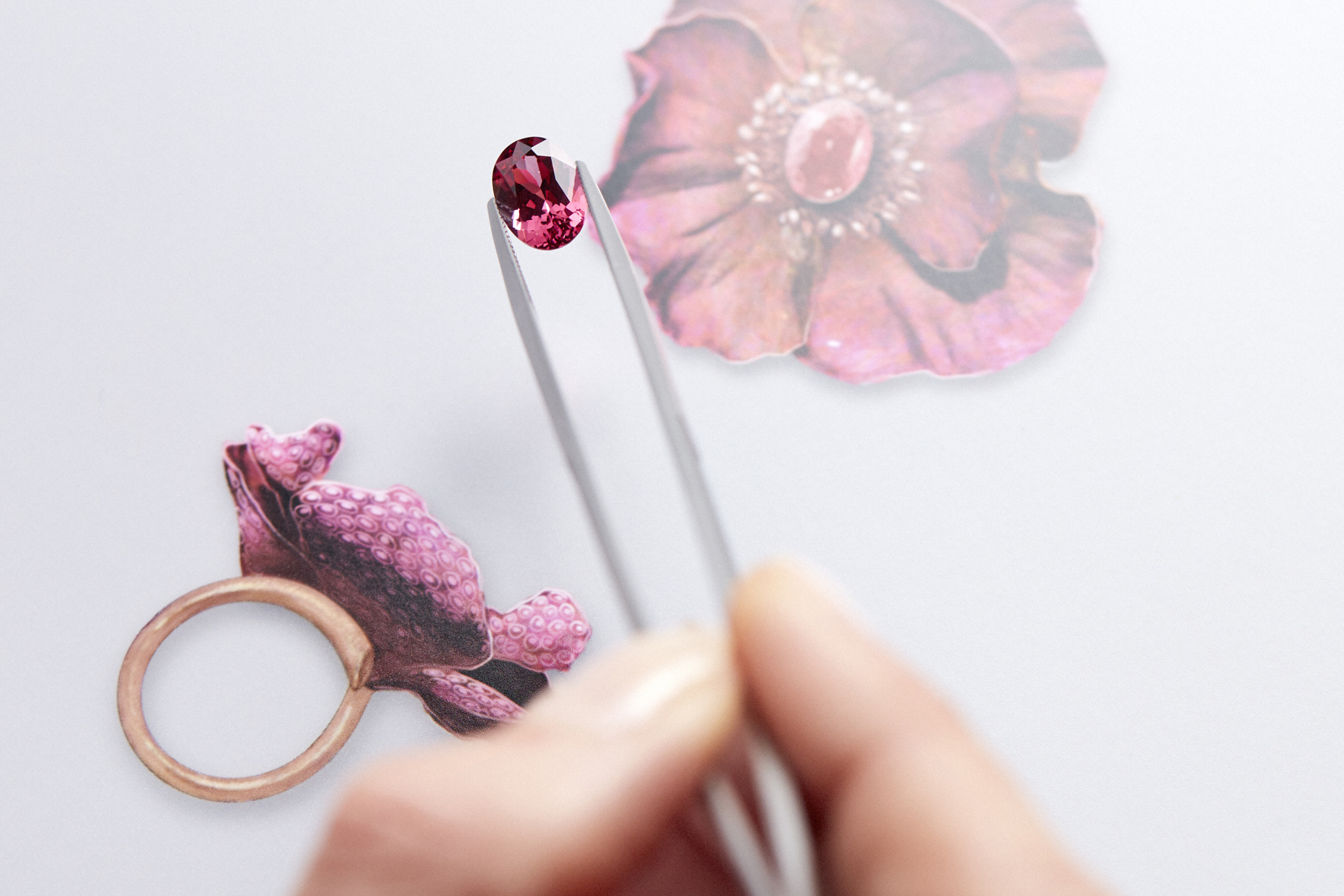 Boucheron ‘Eternal Flowers’ line ‘Pivoine Avis Varner’ ring with 4.16 carat Padparadscha sapphire, titanium, black spinels, yellow and violet sapphires