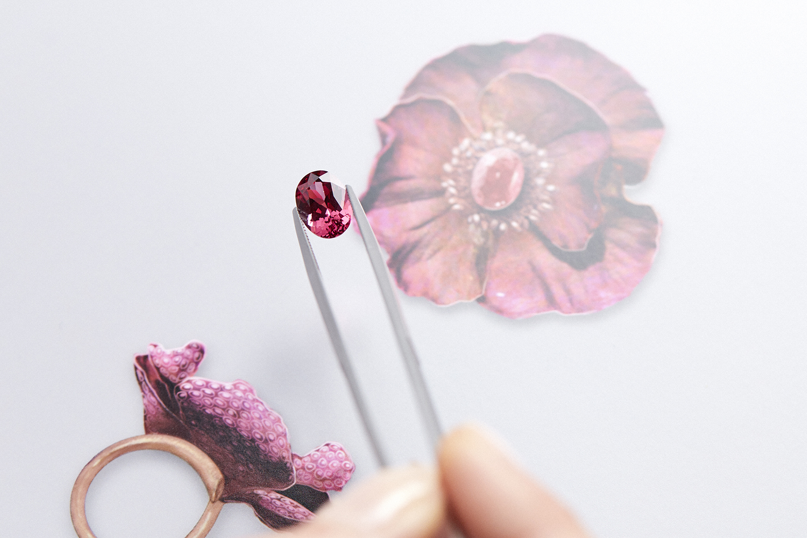 Boucheron ‘Eternal Flowers’ line ‘Pivoine Avis Varner’ ring with 4.16 carat Padparadscha sapphire, titanium, black spinels, yellow and violet sapphires