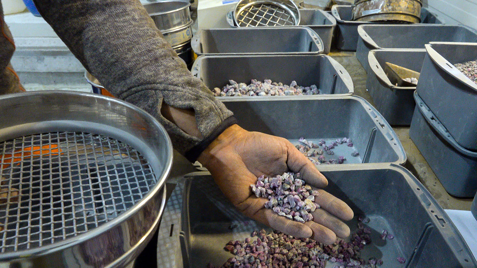  Sorting process of Greenlandic Aappaluttoq mine rubies