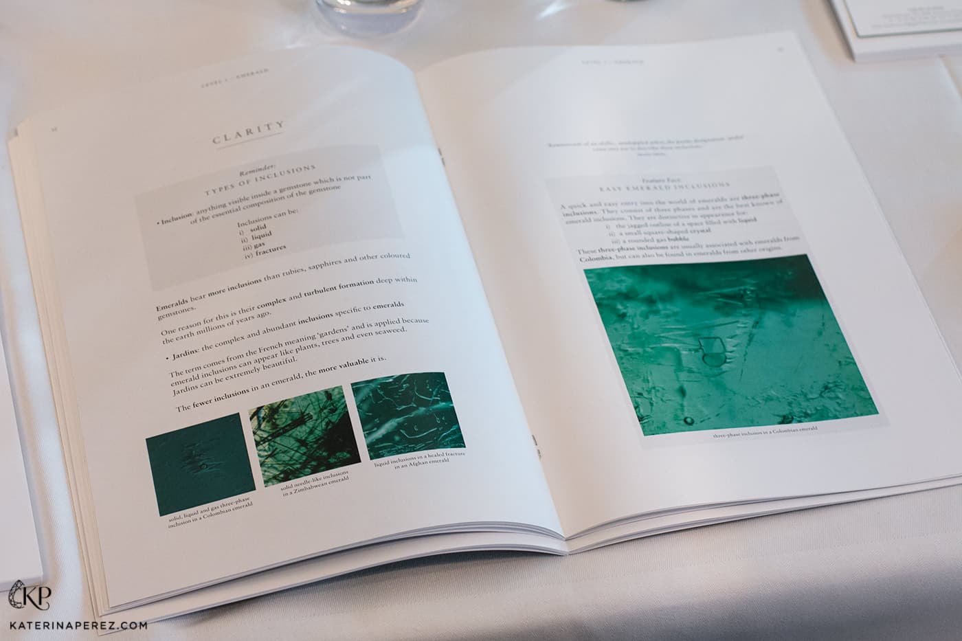 Textbook on clarity of emeralds at Gübelin Academy