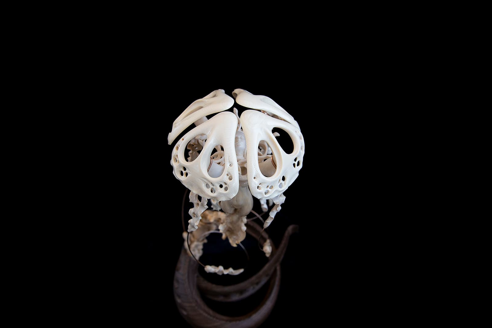  Notivory objet d'art 'Jellyfish' in mammoth tusk