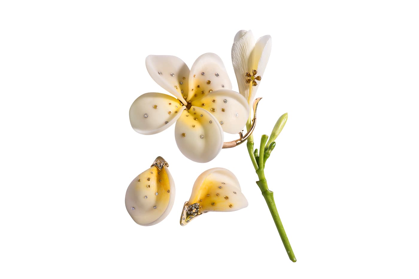  Alessio Boschi 'The Frangipani Set' with tagua seed and ethically sourced yellow and white diamonds, in yellow gold and recycled mango wood naturally dyed with Persian saffron and scented with pure Frangipani essence 