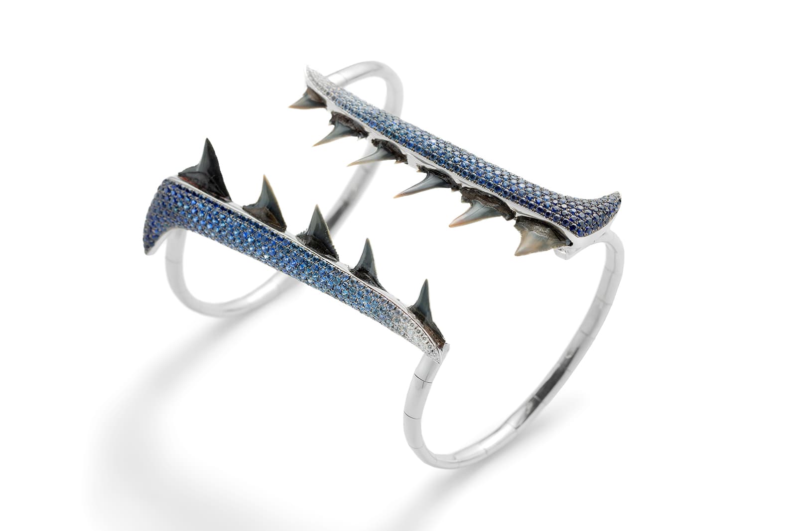 Chiara Passoni cuff with ancient shark teeth, diamonds and sapphires in white gold