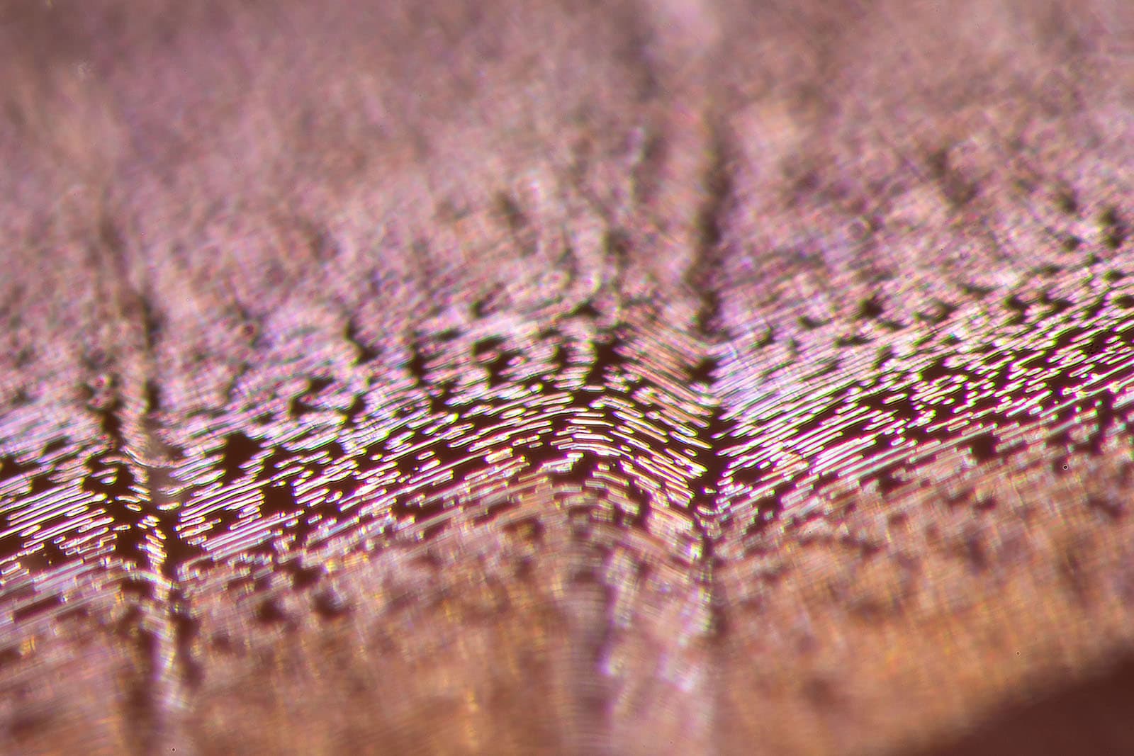  Gübelin Jewellery photomicrography Sri Lankan Padparadscha sapphire 