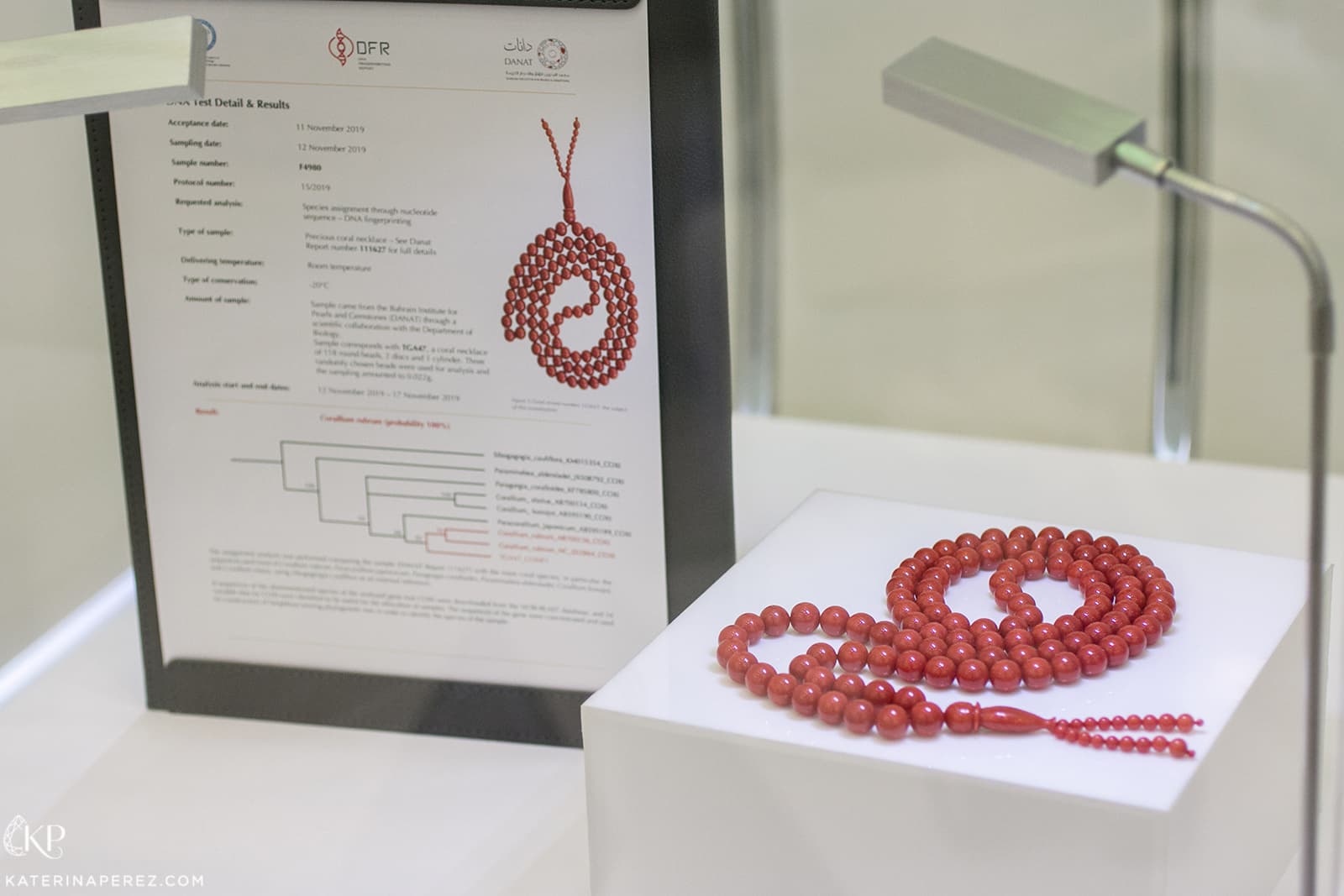 Coral prayer beads that were tested at DANAT Institute and their test results 