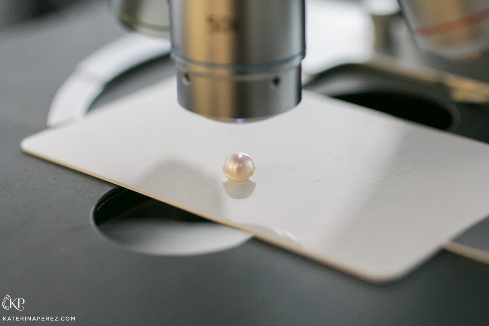 Looking at a saltwater pearl under a microscope at DANAT Institute