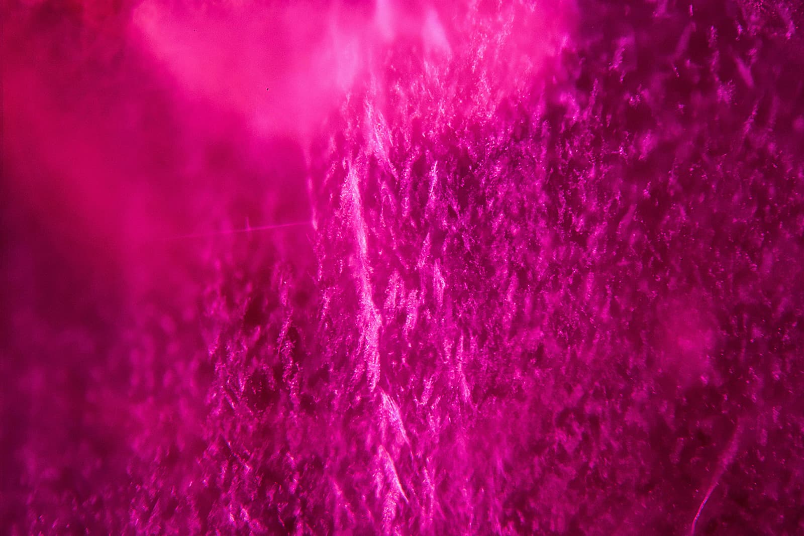  A high-resolution photomicrography reveals the inner beauty of a Burmese ruby