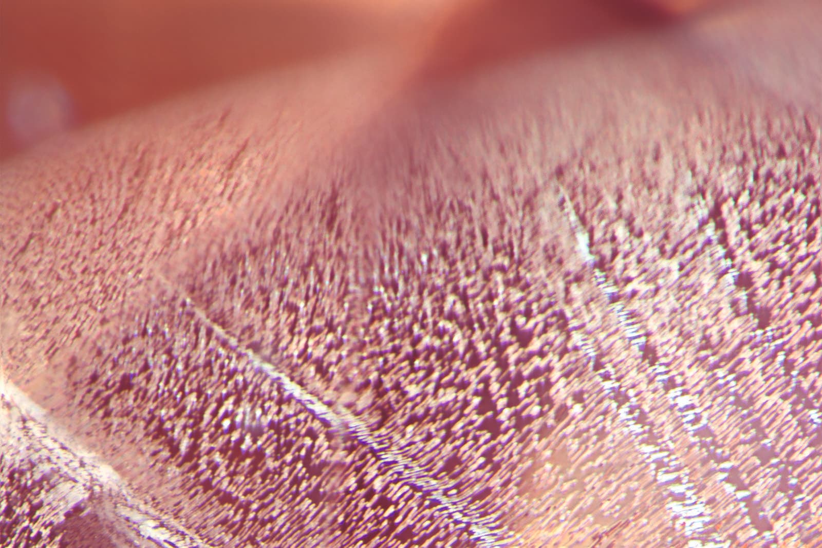  Photomicrography of a Padparadscha sapphire reveals fascinating details