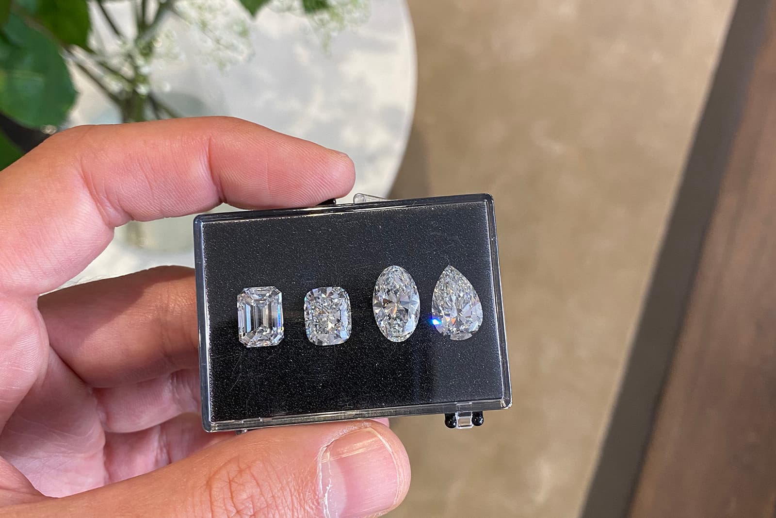  Ali founded LEVUMA's new Diamond Investment Fund to give clients the opportunity to add diamonds to their investment portfolios