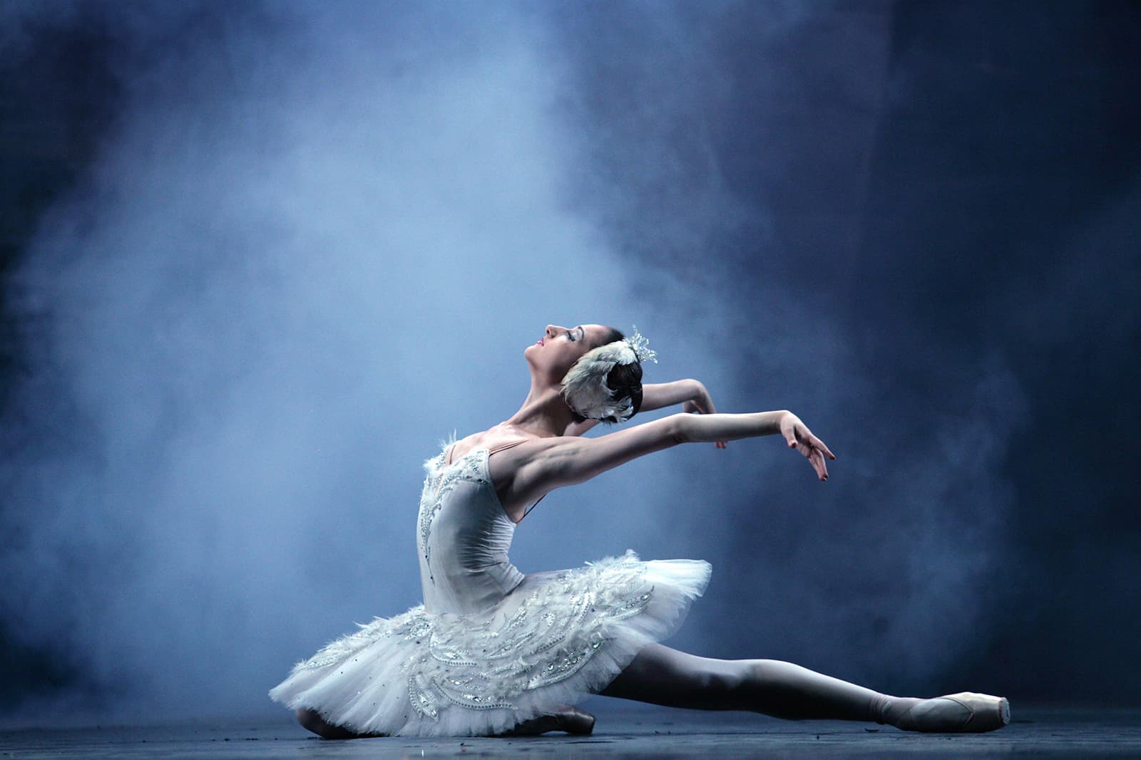The ballet Swan Lake tells the story of a princess transformed into a swan as punishment for unrequited love