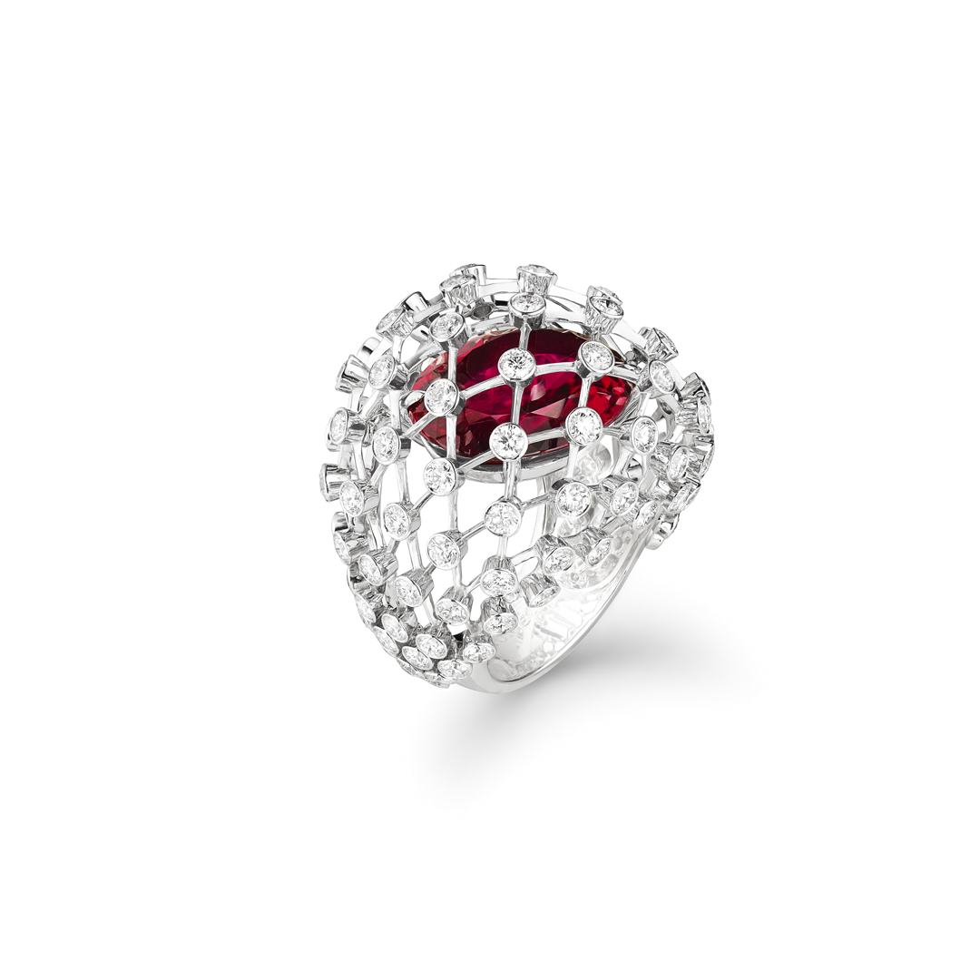  Chaumet Jewelry
