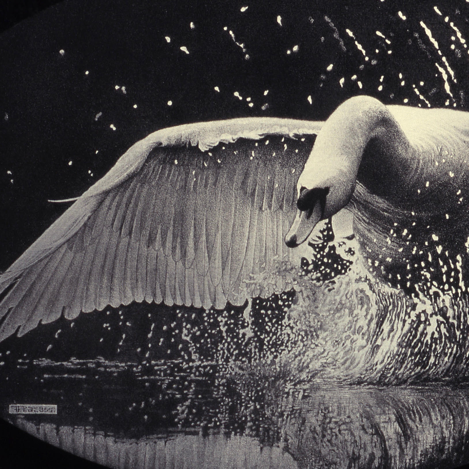  Swan engraved on a belt buckle by Francesca Fracassi