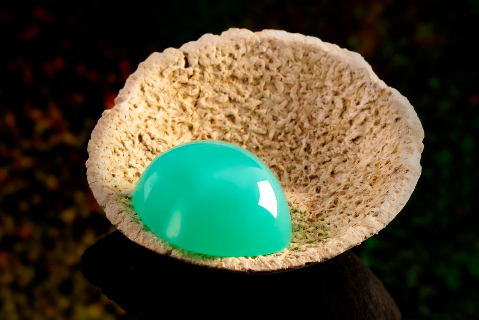 A 51.05 carat chrysoprase cabochon from Gebrüder Meelis