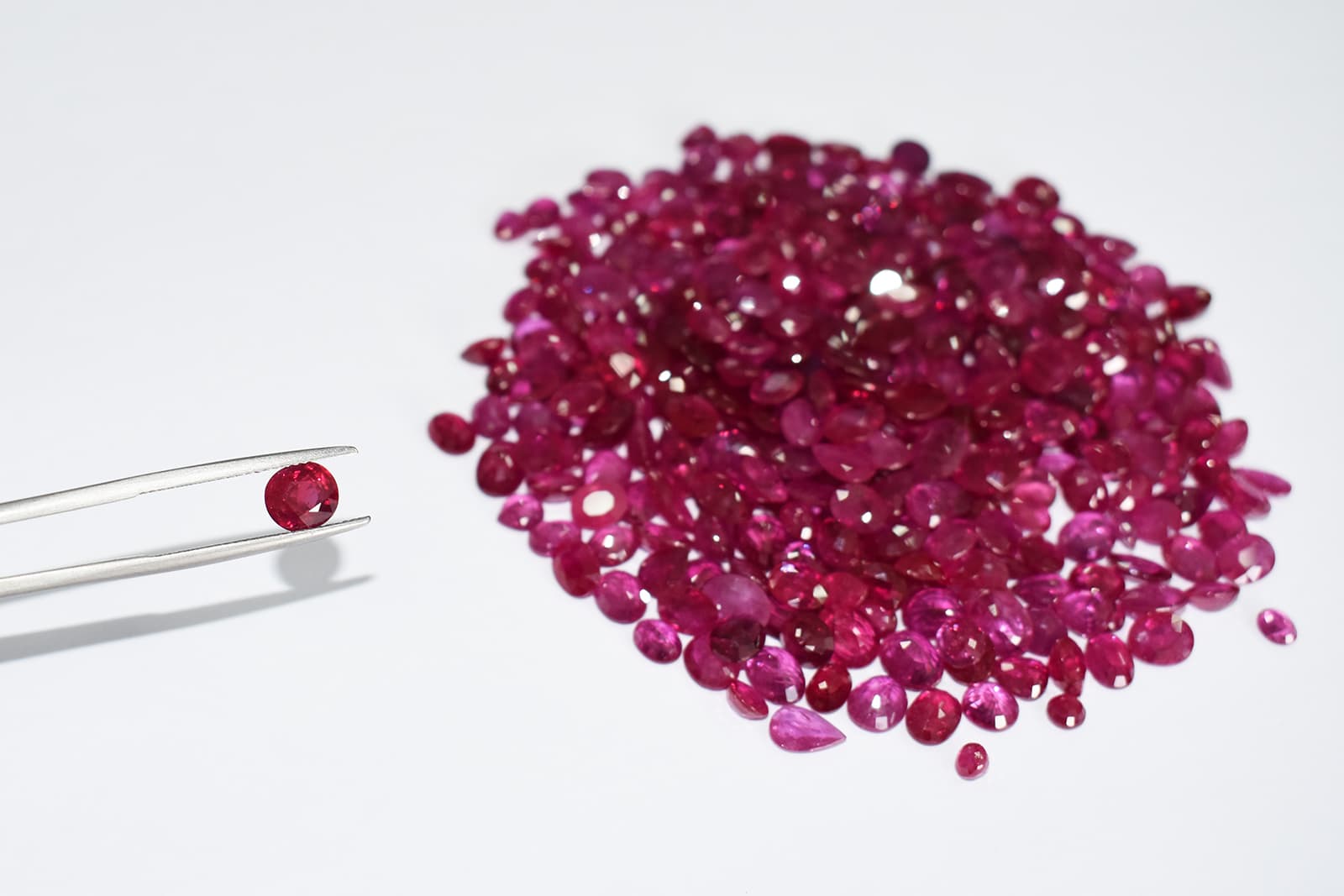  Greenlandic rubies being inspected for quality 