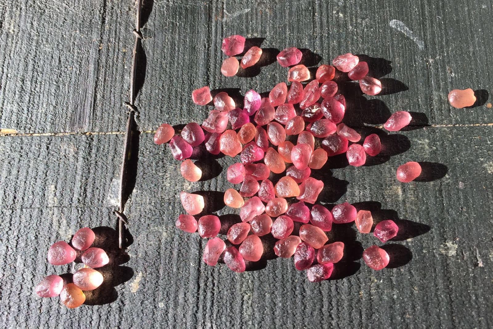  Rough gemstones ready for cutting by Jean-Noel Soni of Top Notch Faceting 