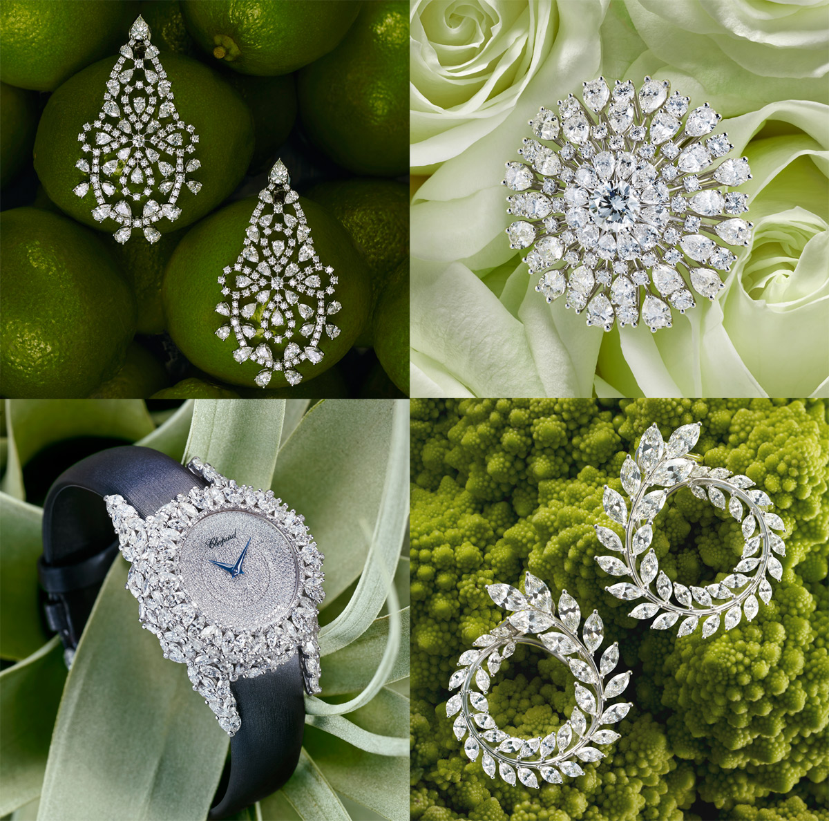 Chopard Green Carpet Collection