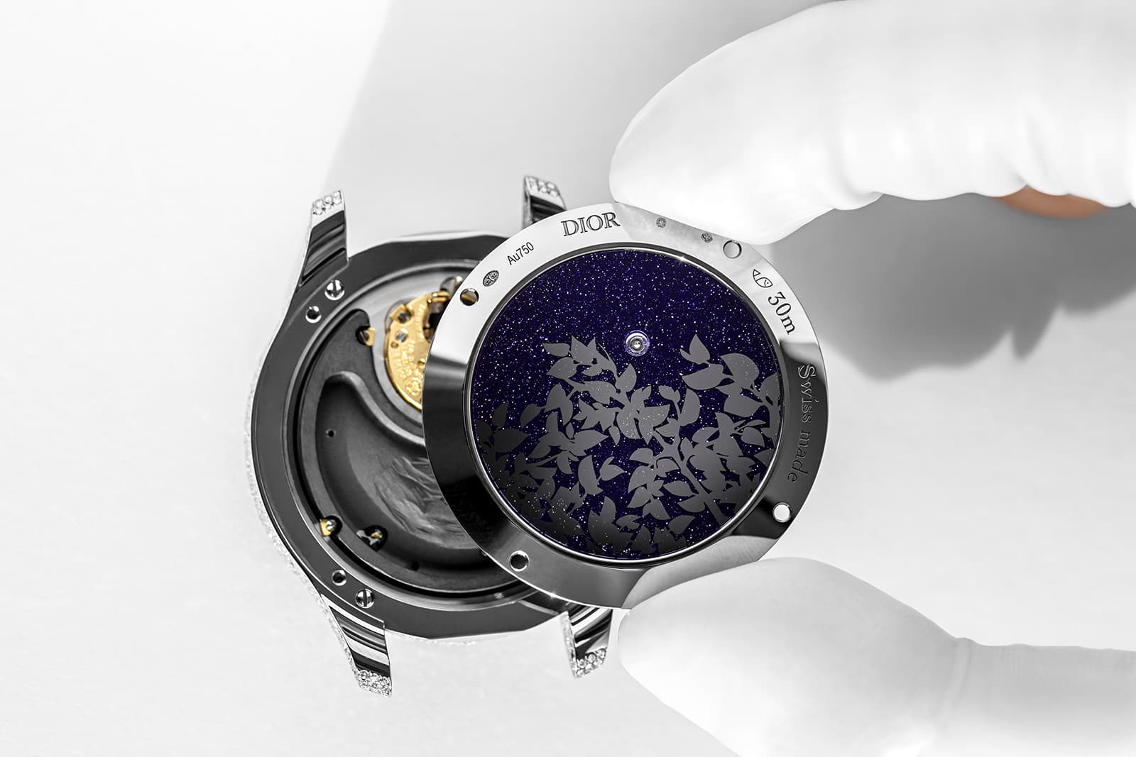  Creating the Dior Grand Soir Jardins de Nuit watch 