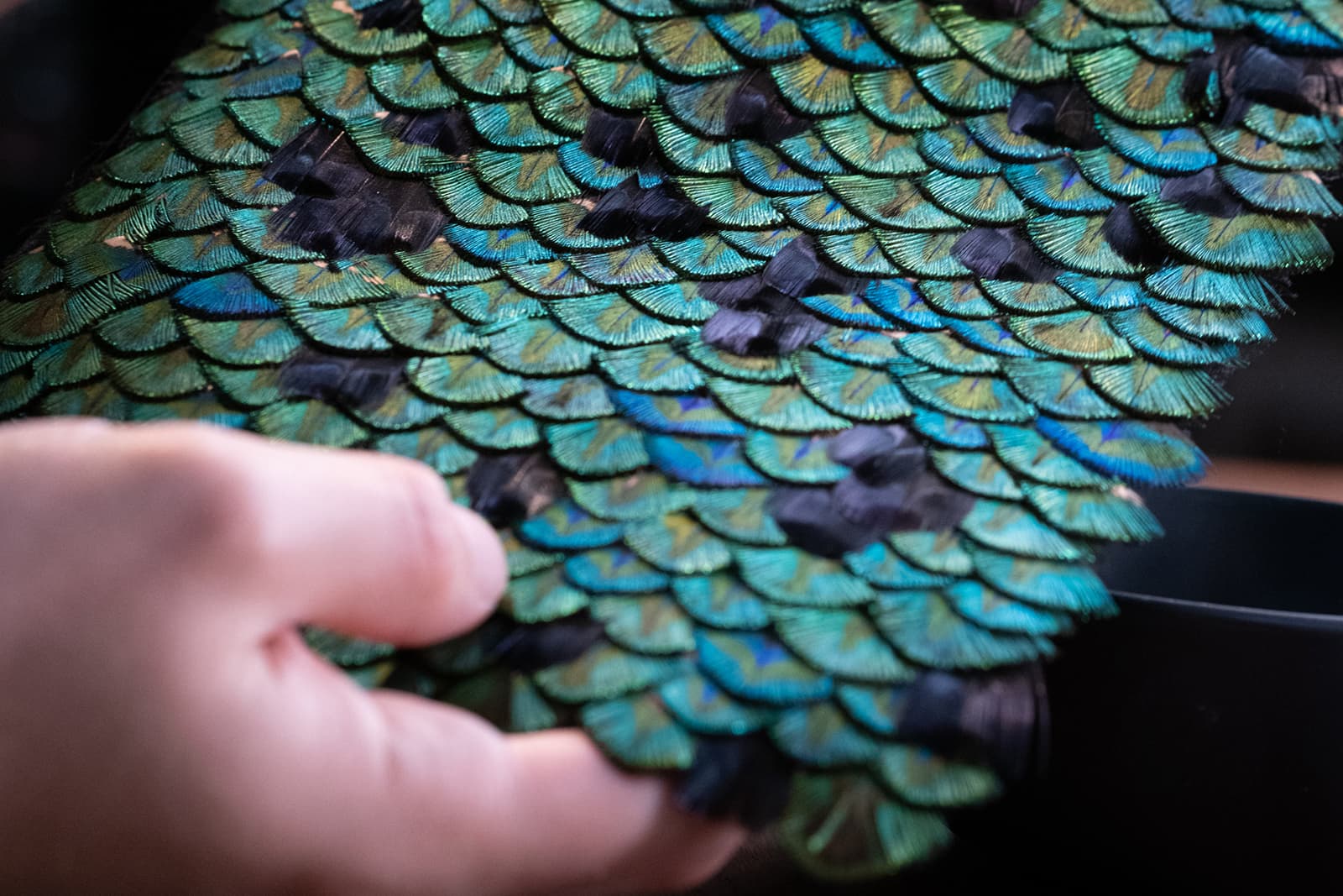  Bulgari used natural peacock feathers for three new additions to its Diva's Dream collection of timepieces