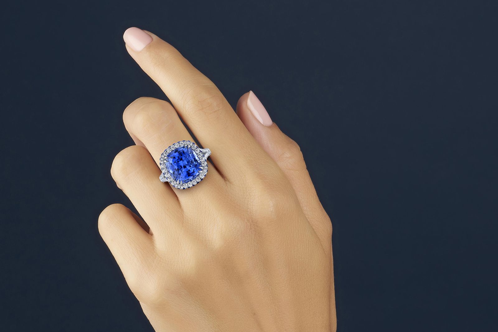  Omi Privé ring in platinum with a 14 carat cushion-cut sapphire with further sapphires and diamonds