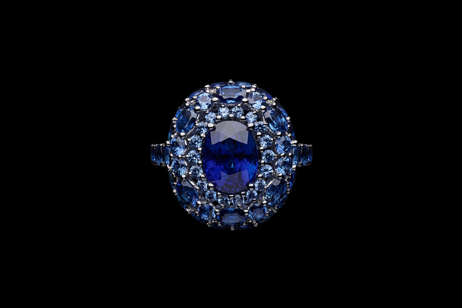  Dior Rose Rose Couture Abstraite Sapphire ring in white gold, diamonds and sapphires 