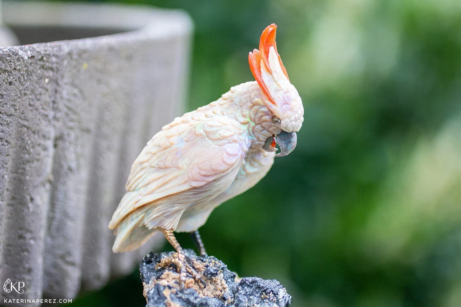 A unique cockatoo carving by Emil Weis Opals