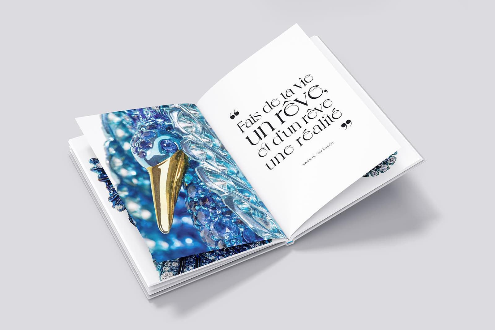  A sneak peek inside Antonio Seijo's self titled art jewellery book