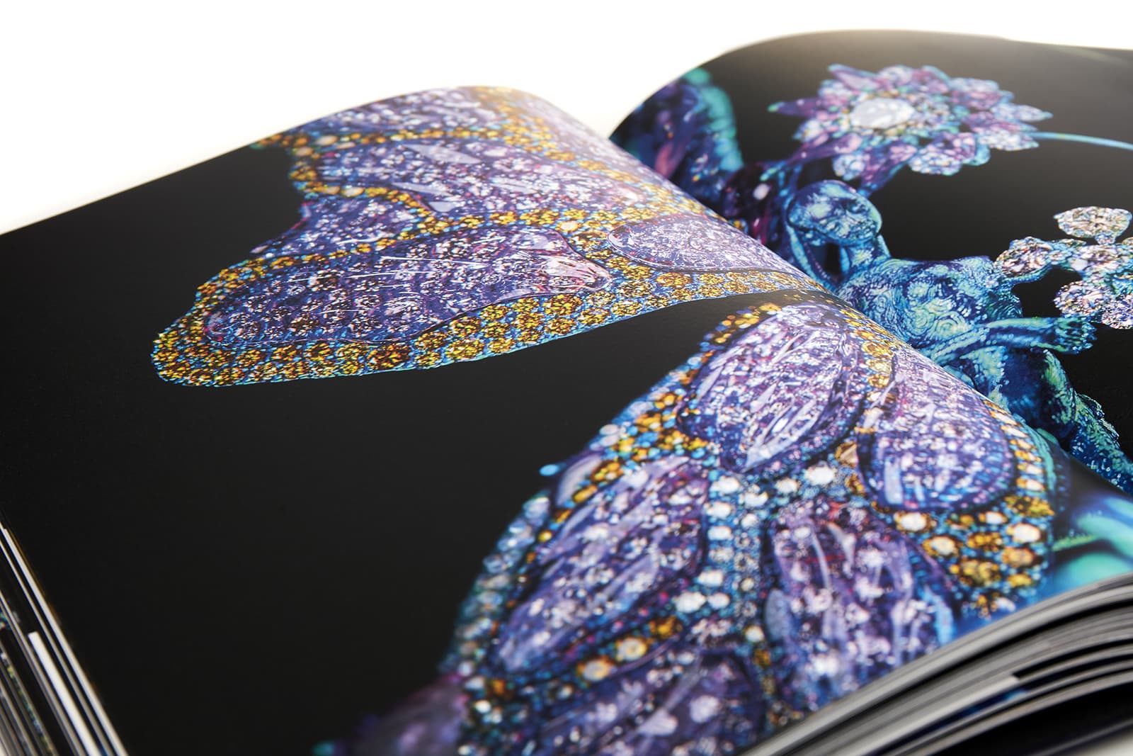  A closer look at the beautiful photographs in the Winged Beauty book by Wallace Chan
