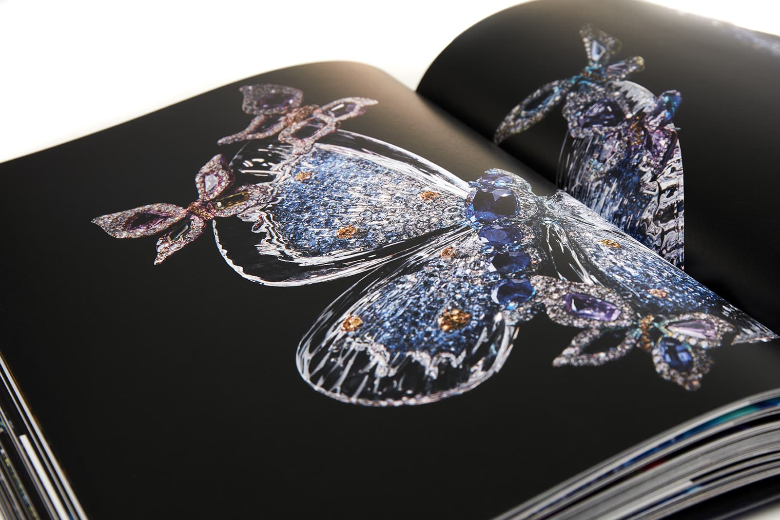  The pages of Wallace Chan's new book - Winged Beauty